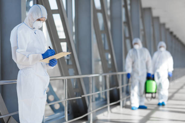 Best Real Estate Mold Inspection  in Fort Mohave, AZ
