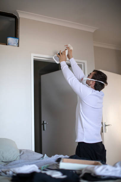 Best Mold Damage Restoration  in Fort Mohave, AZ